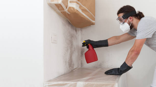 Professional Mold Removal technician working in Hydes, MD